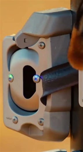 Intelligent Giraffes Solve Puzzles For Food