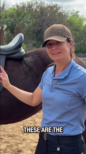 A simple test for good saddle fit #horse #saddle #tutorial