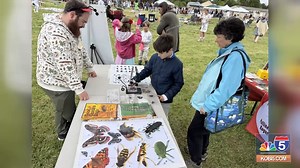 3.8K views · 36 reactions | Pollinator Project Rogue Valley is a...