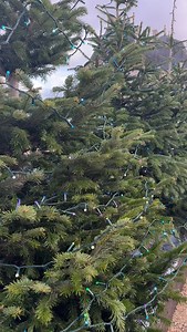 15K views · 2K reactions |  Le montage de Noël est en cours au Château ✨ ⏳ Plus que huit nuits avant le lancement du Grand Noël ! | Château de Vaux-le-Vicomte | Facebook