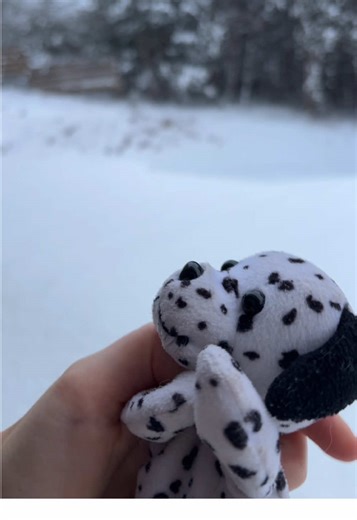 Dancing in the Snow: Spot and Sara's Fun Adventure
