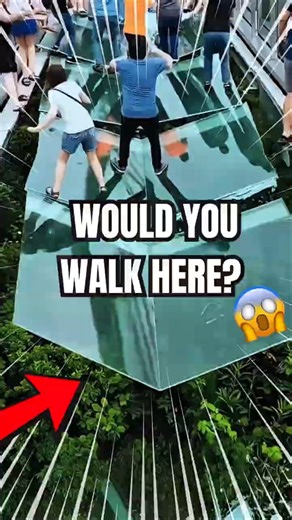 Would You Survive This Glass Bridge Test?#Shorts #FearChallenge #YESorNO