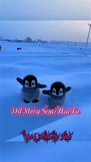 ❤🫰Dil Senti Mode ON 🐧❤️ | Waiting For Someone Special 👀 | Aesthetic Love Status #Shorts