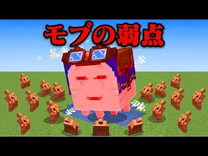 モブの弱点が本当なのか検証するマインクラフト【まいくら・マインクラフト】