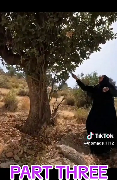 nomads_1112 on TikTok