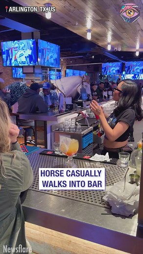 3.8K views · 22 reactions | Bright Side Fun on Reels | Facebook