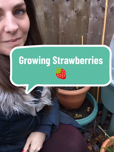 Growing Delicious Strawberries in Your Garden