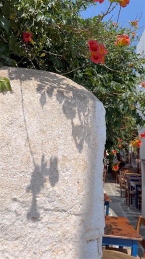 Hi lovely people! Beautiful scenes of Greek island life. Wonderful slow pace and old traditions still alive. #sikinos #cyclades #greece | Gennaro Contaldo