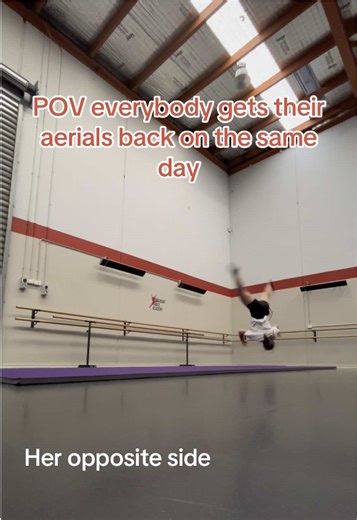 Aerial Acrobatics Day: Everyone's Flipping Together