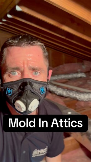 While stack vents and bathroom exhausts should always be vented to the exterior, these are often not the primary cause of the mold in attic spaces. There's always an underlying ventilation problem that needs to be addressed and in this case over insulating the eaves and no air flow from the soffit. #attic #ventilation #mold #plumbing #insulation #inspection | HNST Environmental