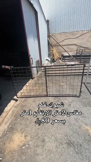 تصميم شبوك غنم عالي الجودة للبيع