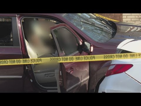 911 transcript reveals details of ICE shooting of Renee Good