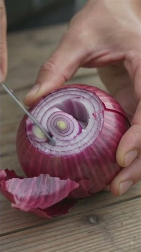 Amazing Gardening Hacks That Feel Like Magic! 🌱🤯 | Smart Plant Tricks