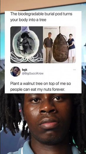 The biodegradable burial pod turns your body into a tree