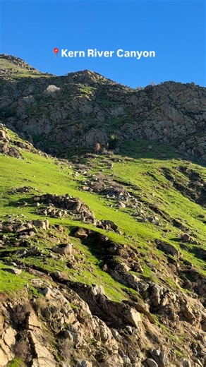 When the #KernRiverCanyon turns green 😍 #VisitKernCounty #KernRiver #Kernville #Hwy178 | County of Kern, California