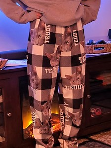 1.5K reactions · 120 shares | From Sweatpants to Sentiments - Wear Emotion with Every Step! . Order today: https://geckocustom.com/A888775. #Christmas #Gifts #catlover #petlover #doglover | Pawsome Parents | Facebook