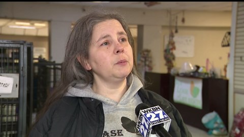 Struthers animal shelter forced to move after building condemned