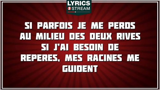 Paroles Metisse - Yannick Noah tribute