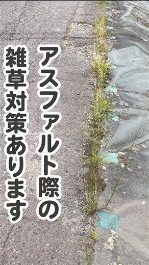 アスファルト際の雑草対策あります #防草シート #防草シートドットコム #雑草対策