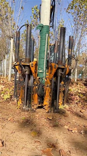 New technology for digging trees new forces in gardens #Real photos of the construction si