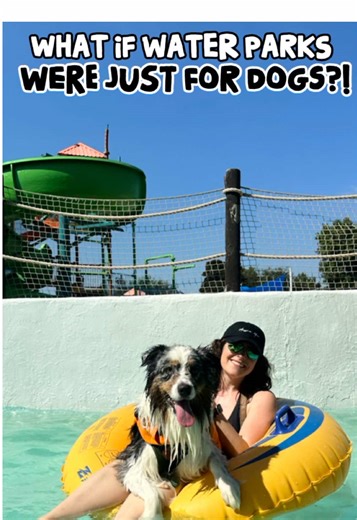 ¡Diversión Acuática para Perros en DFW!