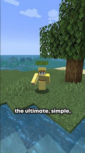 Top 4 Best Minecraft Seeds of 2025!