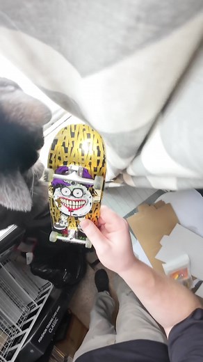 Impressing My Cat with Handboarding Skills
