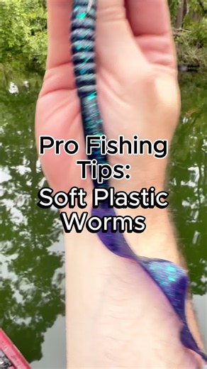 Soft Plastic Worm Fishing Mistakes - Part 1 #fishing | Wacky Rig