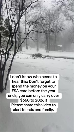 Use that FSA money before the year ends. You can only carry over $660 to 2026. Share this post with family and friends so they don’t lose any money.💰 #flexiblespendingaccount#fsa#savings Amazon.com | Cheri Flemmings McDermott