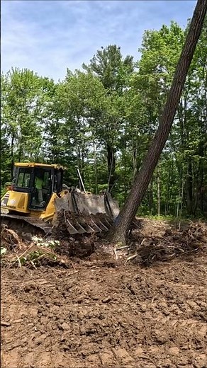 Pushing over trees with Dozer