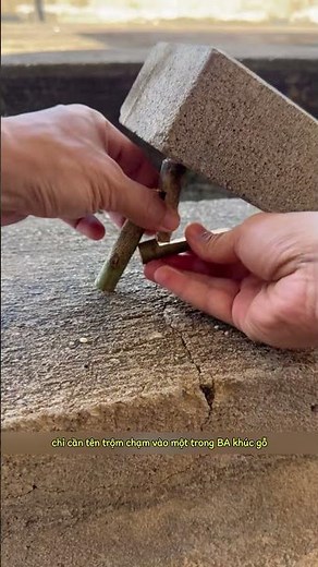 mẹo bắt chuột cổ đại