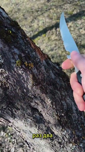 Нож против Дерева! Knife vs. Tree Day 14