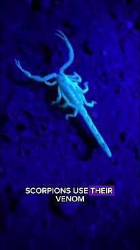What's REALLY Cool About SCORPION Facts?