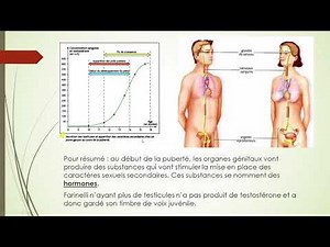 4ème : la reproduction humaine : partie 1 : la puberté et la notion d'hormone