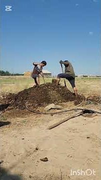 Making Traditional Cow Dung Fuel Cakes for Winter