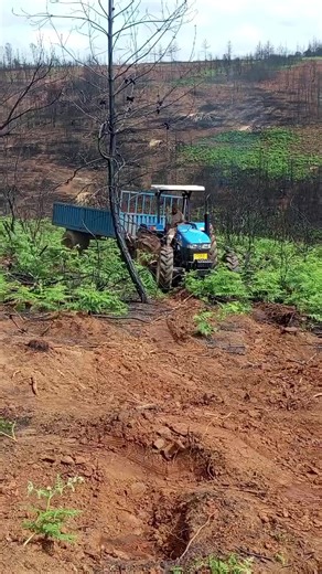 ack brother's (@ack.brothers)’s videos with original sound - Longunus classic wear👖👖👖