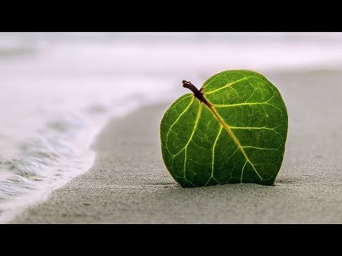 Morning Relaxing Music - Positive Feelings, Energy, Meditation, Massage (Kelly)