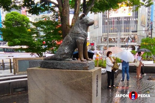 Visitar la Estatua de Hachiko, Shibuya (Tokio) El Perro Fiel 🐕