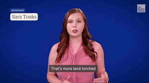 Canada Wildfires In 2025 Burn More Than Yearly Average