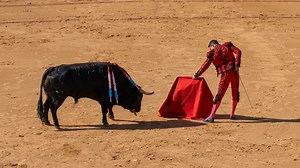 Watch what happens when he provokes an angry bull