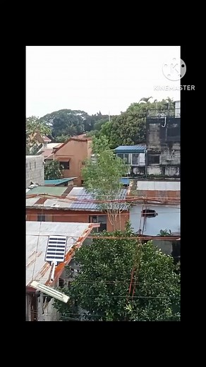 Typhoon Uwan Documentary from a civilians perspective #typhoon #BagyongUwan #storm #Philippines | Kuya cardboard | Facebook