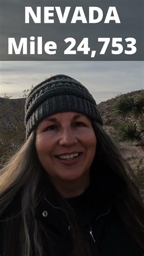 Joshua Trees #overlanding #Nevada #joshuatree