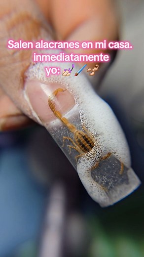 1.9K views · 532 reactions | 廬 #reelvideo #nailsreels #nailporn #fyp | Danny Long Nails | Facebook