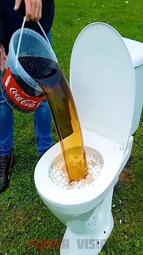 Coca-Cola + Mentos Reaction in the Toilet