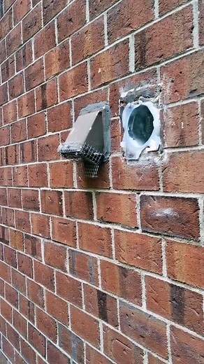 Dryer Vent Cap Cleanup and Replacement