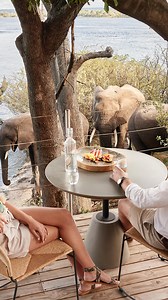 Strolling along the boardwalks on Kandahar island at Victoria Falls River Lodge feels like stepping into another world. As the gentle giants move gracefully beneath and around you, the connection to nature is unlike anything you’ve ever experienced. 🐘 This place doesn’t just bring you closer to nature; it makes you a part of it. 🌱 #victoriafallsriverlodge #africantravel #zimbabwe #travelafrica #travelzimbabwe #luxurylodge | Victoria Falls River Lodge