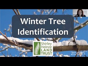 Winter Tree ID Webinar - 2023