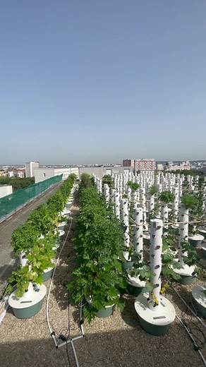 Urban Rooftop Farming in Paris, France