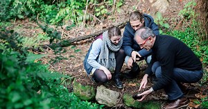 Study sustainability