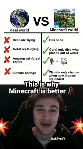 ✨️Minecraft World vs Earth🌎 #minecraft #trending #memes #funminecraft